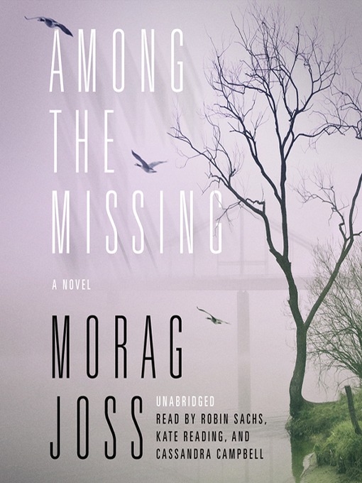 Title details for Among the Missing by Morag Joss - Wait list
